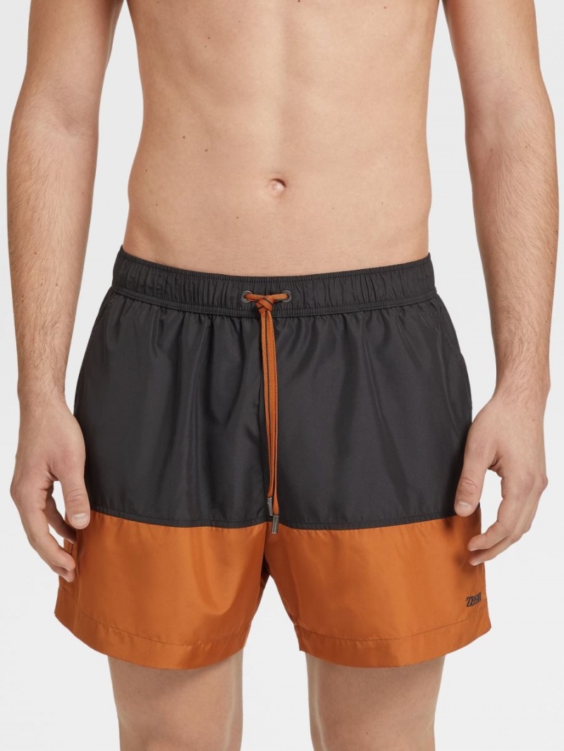 Black Zegna Swim Shorts | CLVUZMO-21